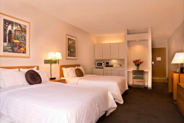 Executive Quadruple room