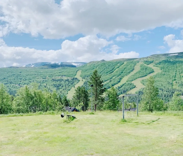 Hallingskarvet Fjellstue AS
