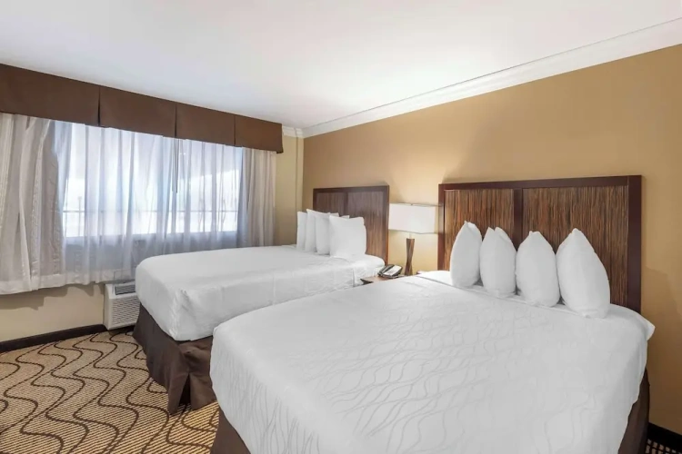 Quadruple Suite with view