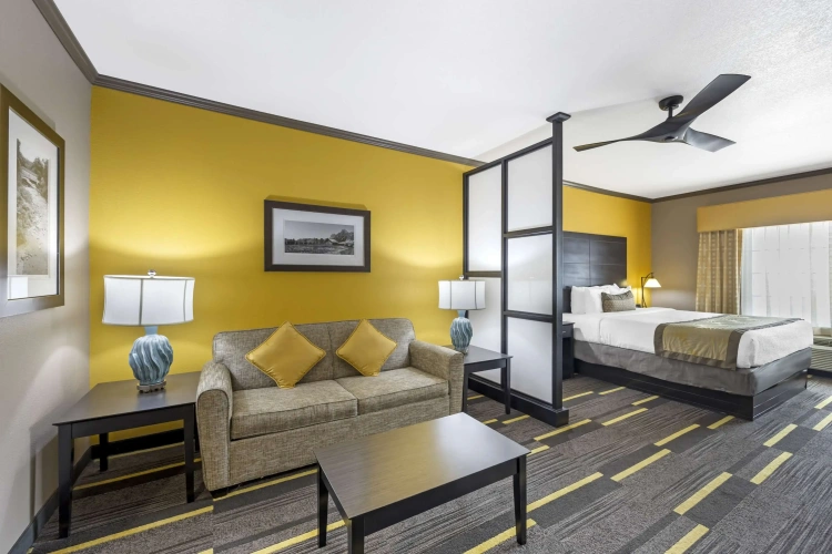 Double Suite