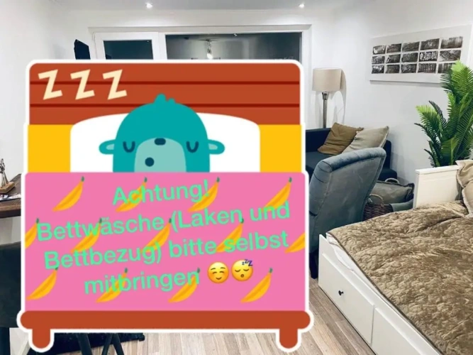 1 Bedroom Single Apartment