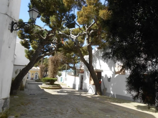 1 Bedroom Cottage