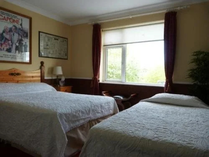 Ace Guest House