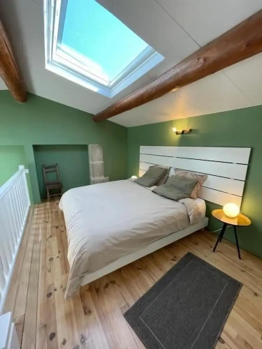Comfort Suite