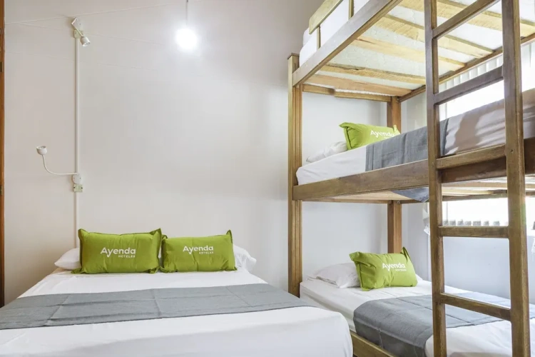 Comfort Quadruple Suite