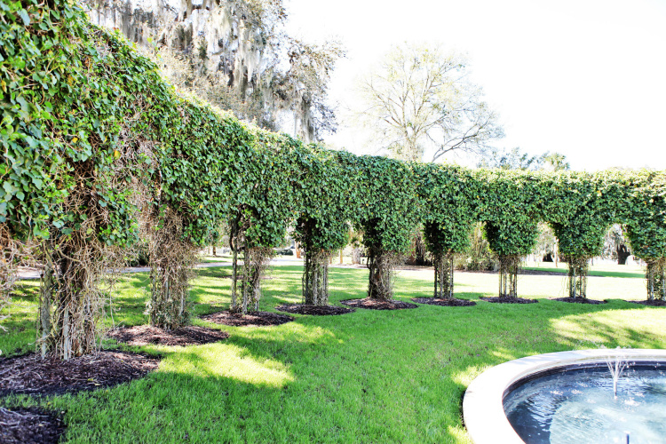 Jekyll Island Club Resort photo 23