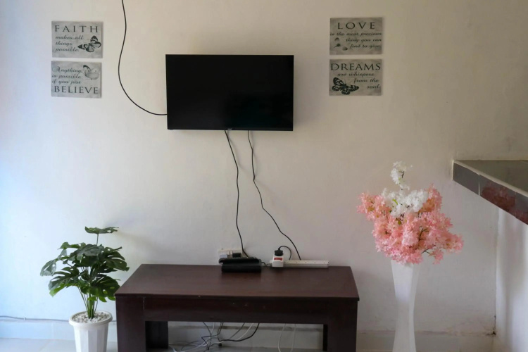 Royal palms studio