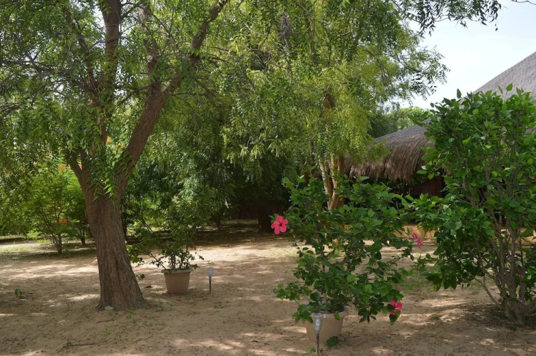 Gîte l'Anacardier