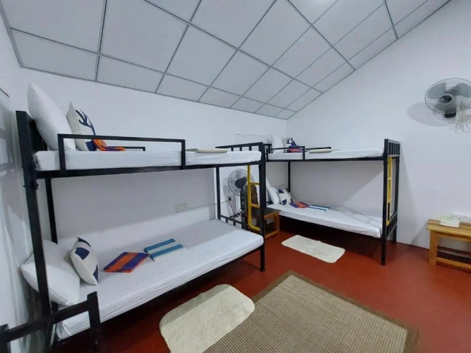 Bed in Dorm