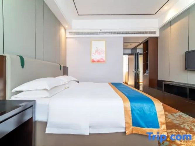 Standard Double room with city view