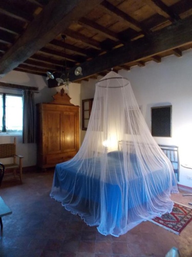 Deluxe Double room with garden view