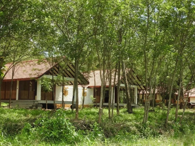 Standard room with land view