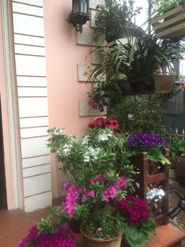 Standard Double room with balcony and with view