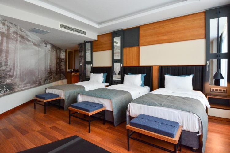 Standard Triple room
