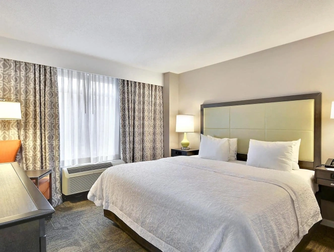 1 Bedroom Double Suite