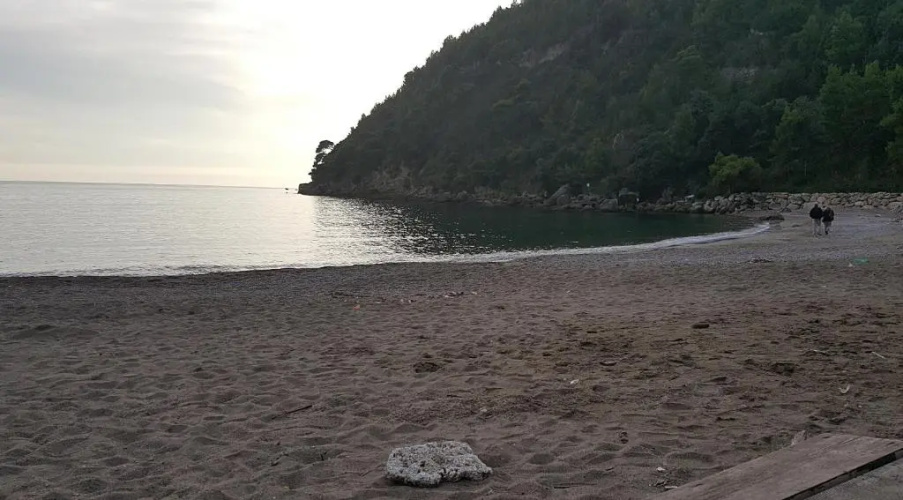 "Il nespolo"