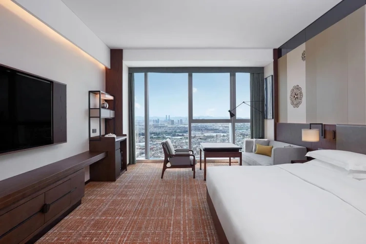 Standard Double Club room with city view