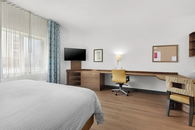 1 Bedroom Suite
