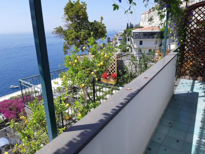 Amalfi Blue Flowers A
