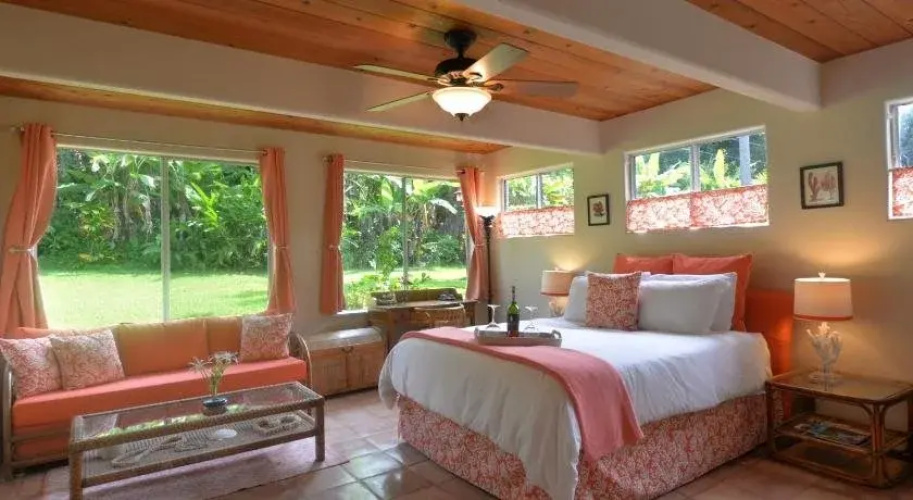 Areca Palms Estate Bed and Breakfast