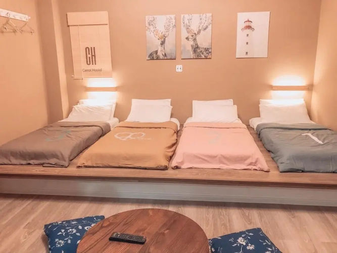 Carrot Hostel