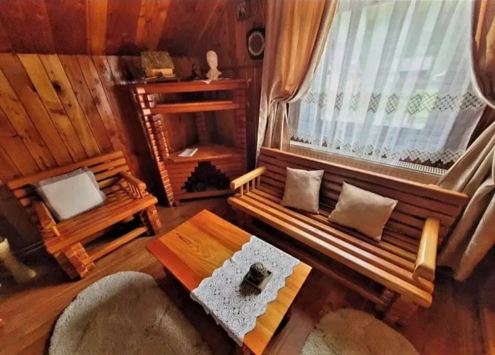 Vidra Dacica