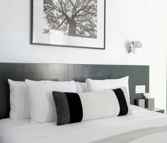 Luxury Double room