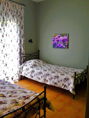 Alexios Studios