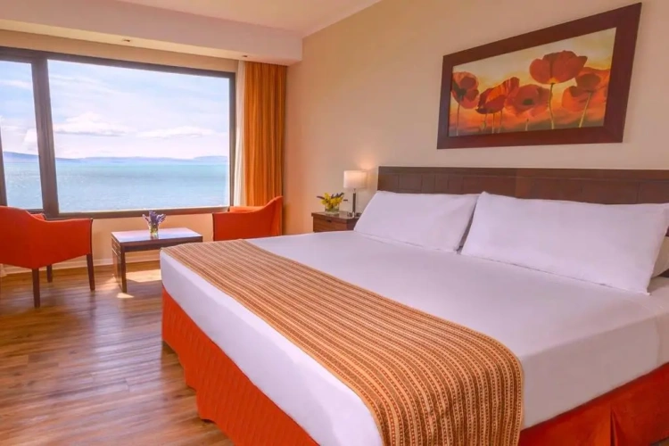 Standard Double room with lake view