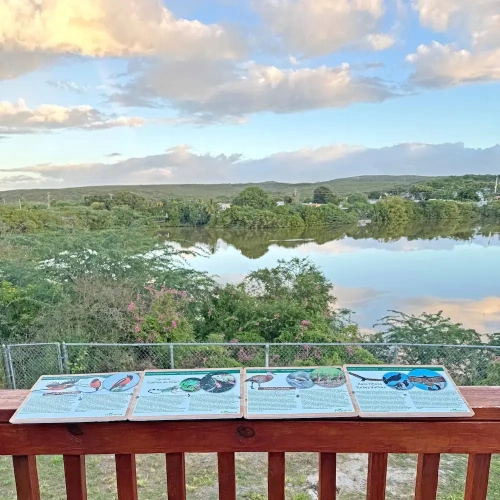 3 Bedrooms Comfort Villa with bay view
