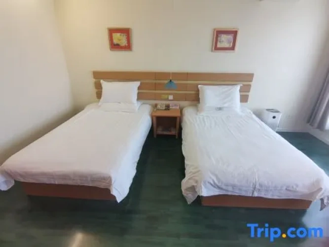 Standard Twin room with view