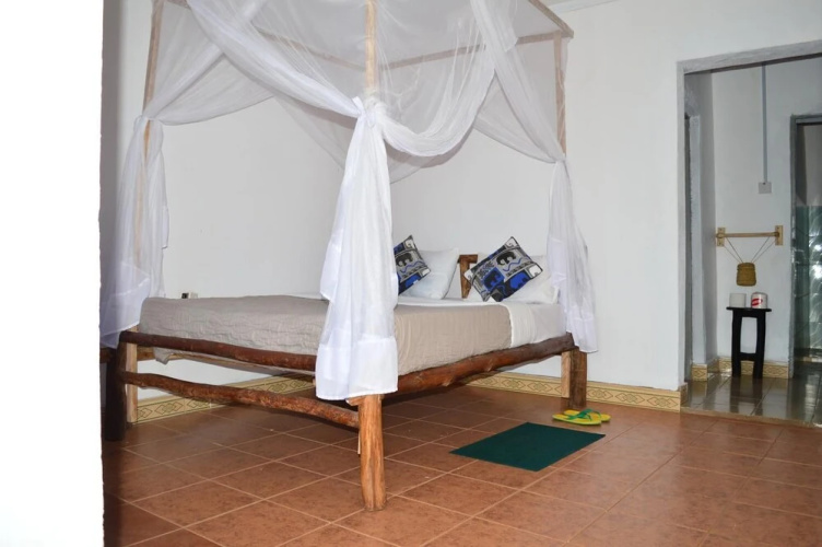 African wagtail hostel