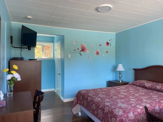 Standard Double room with view