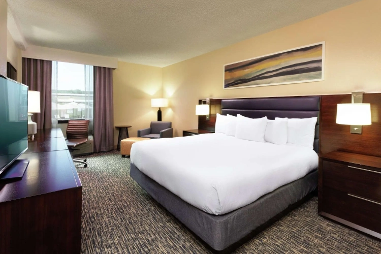 1 Bedroom Double Suite