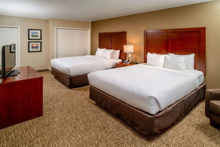 Quadruple Suite