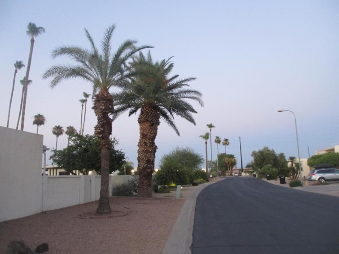Outside