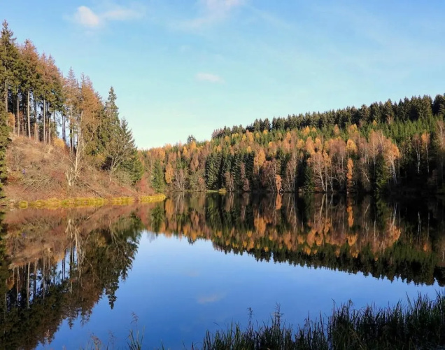 Doppelhaushalfte in Hasselfelde
