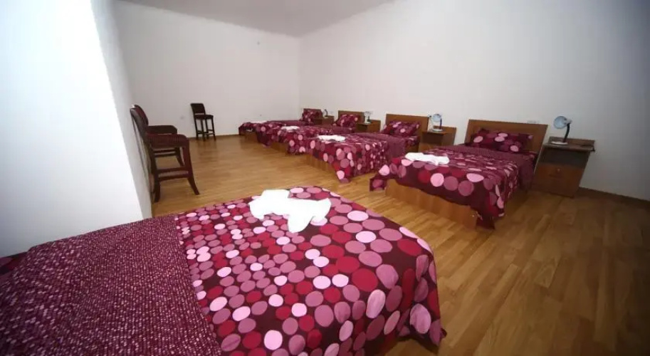 Hostel Lion