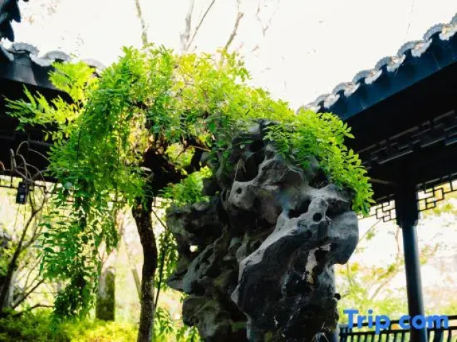 Yunshan Courtyard House