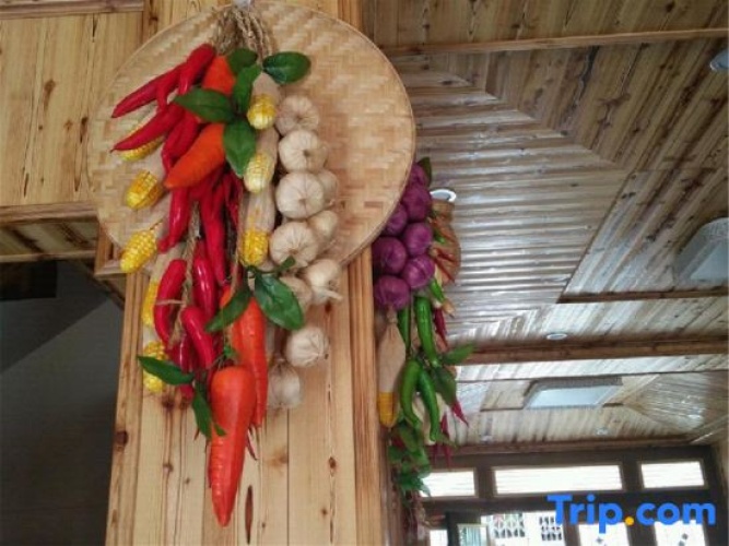 Entertainment