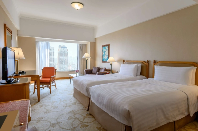 Superior Twin room with city view