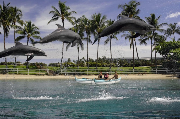Hilton Grand Vacations Club Ocean Tower Waikoloa Village photo 23