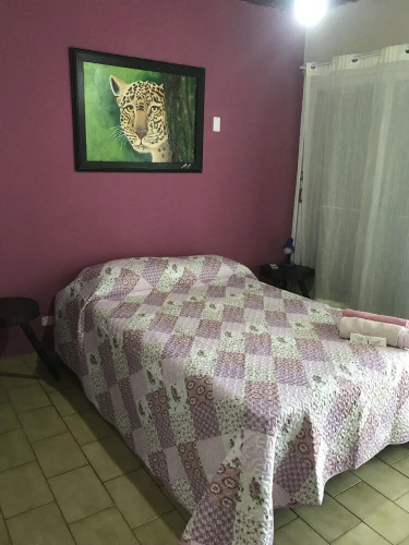 Flowers hostel