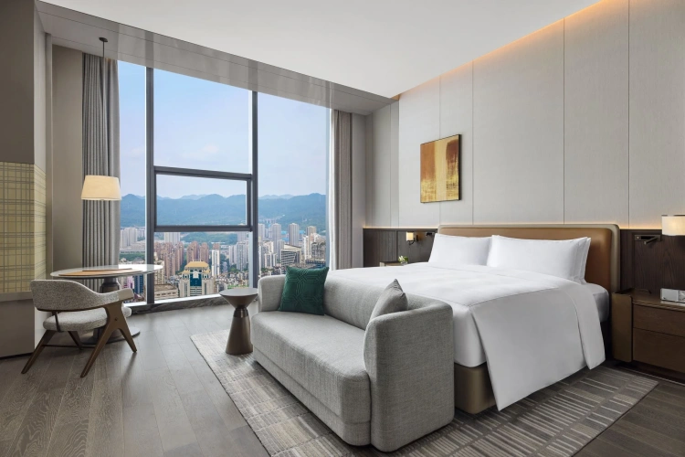 Deluxe Twin room with city view