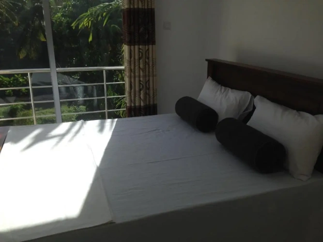 Deluxe Double room with balcony and with river view