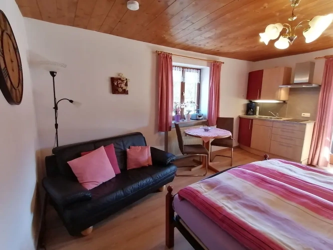 1 Bedroom Comfort Apartment