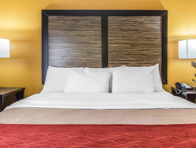 Standard Suite