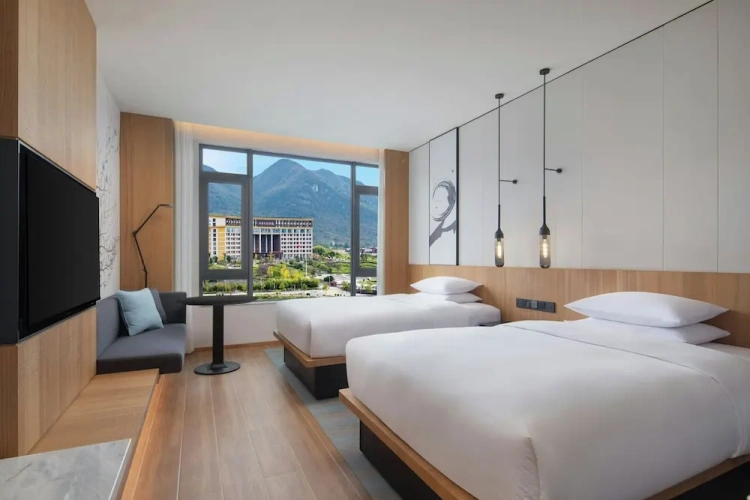 Standard Twin room with city view