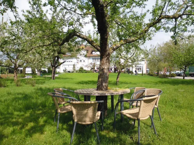 Reck's Hotel - Restaurant, Bild 16