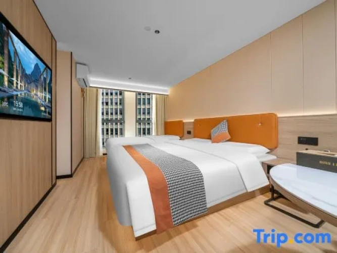 Standard Double room with city view